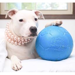 Jolly Pets Fotboll Boll Ocean Blue Den ursprungliga hundfotbollen