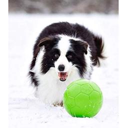 Jolly Pets Fotboll Boll Apple Grön Den ursprungliga hundfotbollen