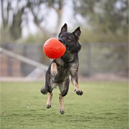 Jolly Pets Fotboll Boll Orange Den ursprungliga hundfotbollen