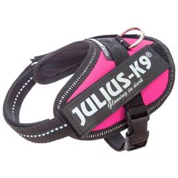 Julius K9 Dogs IDC Selenium Dark Pink