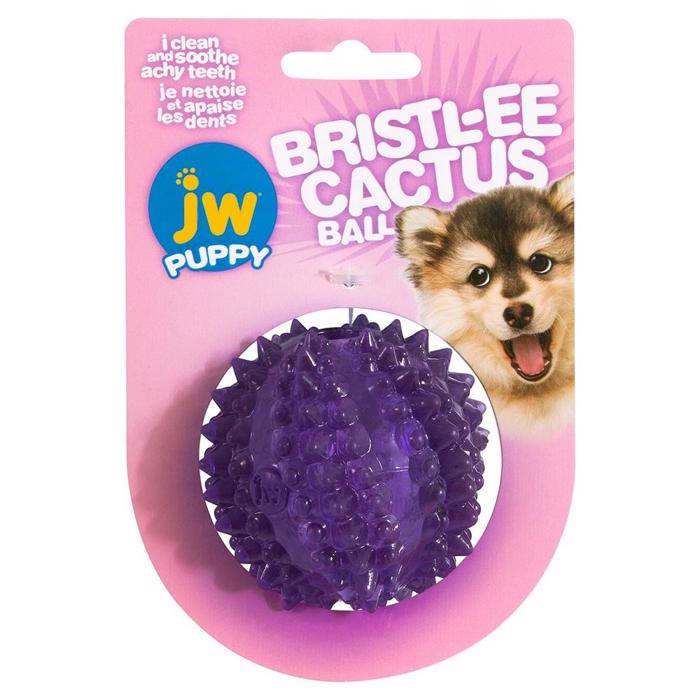 JW Puppy Bristlee Cactus Ball för valpar och vuxna hundar