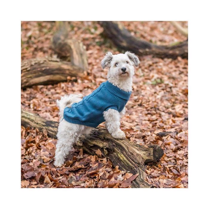 Trixie Knit Sweater For The Dog Design Kenton Blue