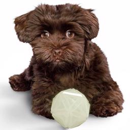 Hunter Dog Toys The Luminous Playball -modellen Kisa