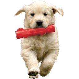 KONG Squeezz Stick kastleksak för din hund