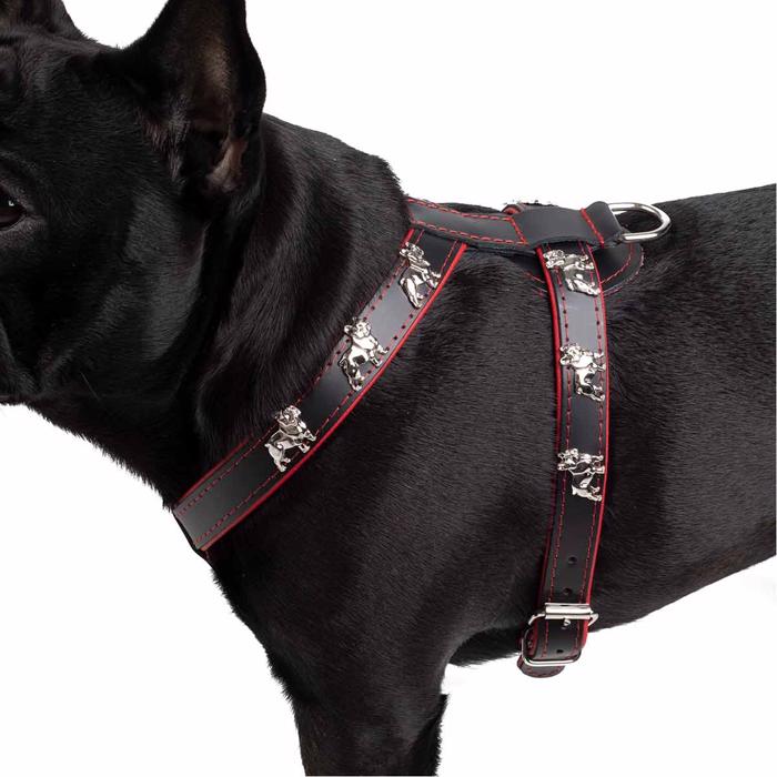 Läder sele för French Bulldog Magic Frenchie modell svart röd