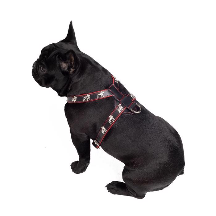 Läder sele för French Bulldog Magic Frenchie modell svart röd