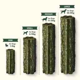 Lily's Kitchen WoofBrush Dental Chews Care Daglig tandvård