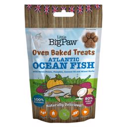 Little BigPaw Ocean Fish Potatis Pumpa Kokosolja HundeKiks