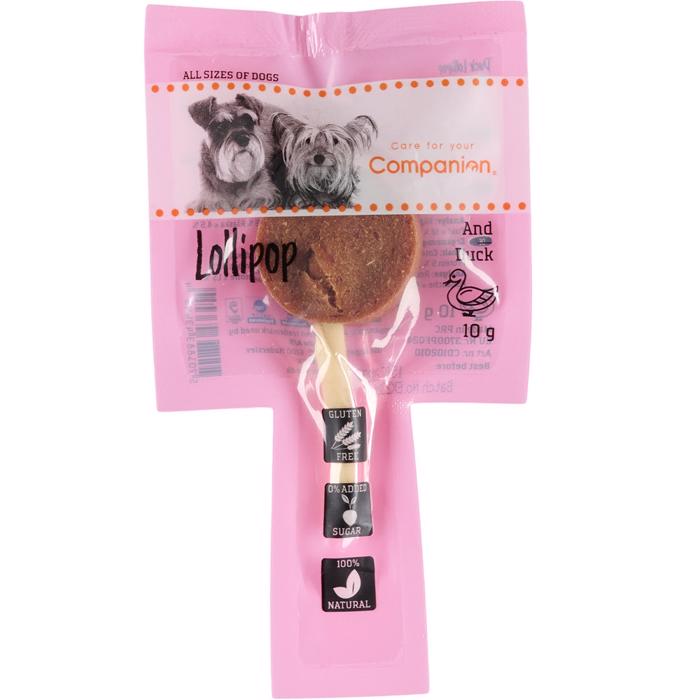 Companion Lollipop Lollipop With Duck 10 st