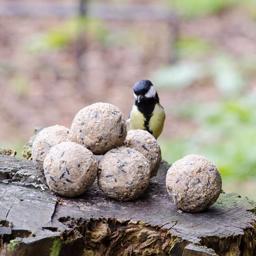 Bird's Garden Vildfågel Talgbollar UTAN nät 100 st