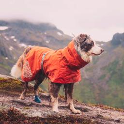 Hurtta Monsoon Regnjacka Design ECO Rosehip Special Edition