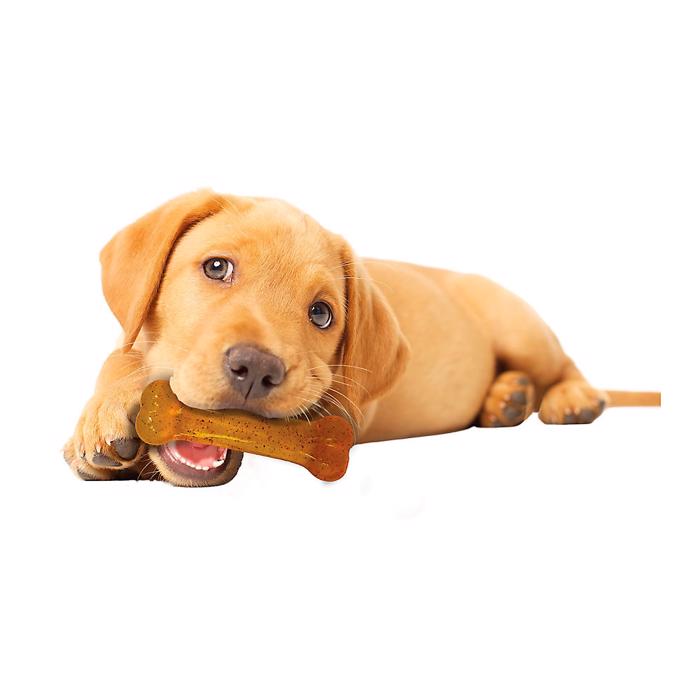 Nylabone Puppy Bone Teething Chew med kycklingsmak