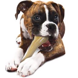 Nylabone Dura Chew Monster Bone XXL med kycklingsmak