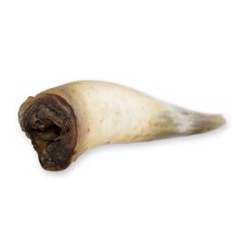Snack It Naturliga Torkade Oxe Horn 500g