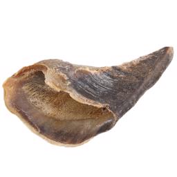 Snack It Beef Claws för att tugga mums och fyllning 1st
