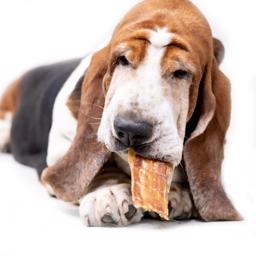 Snack It Rolled Beef Esophagus DeLuxe EU BULK 5 kg