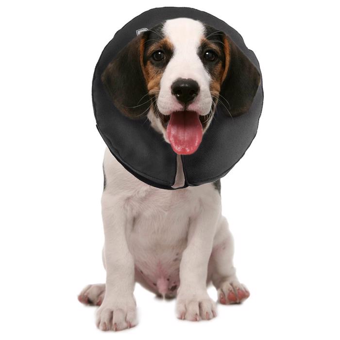 ZenPet uppblåsbart halsband för katt och hund liten
