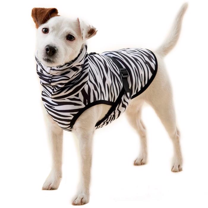 Paikka Cool & Bug Shirt Zebradesign För Hunden