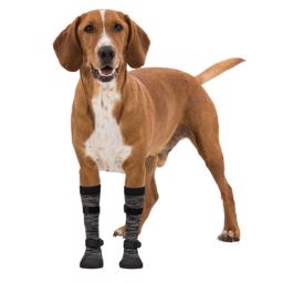 Walker Socks Tassskydd för äldre hundar eller sjukdomar
