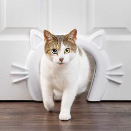 Petsafe Cat Corridor Kattens egen entré med Mi-Wauw-effekt