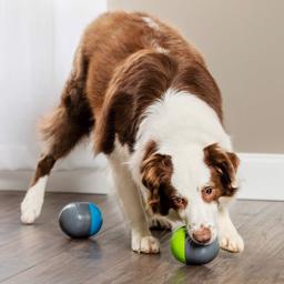 PetSafe Ricochet elektronisk hundleksak med pipljud