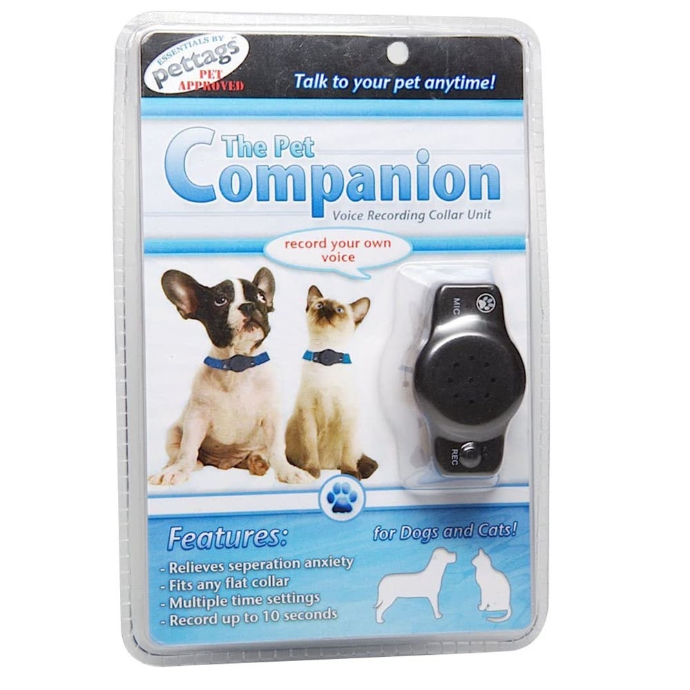 Pettags Samtal För Hundar med Separationsångest SVART