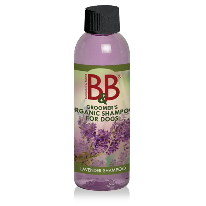 BB Organic Dog Shampoo Lavender