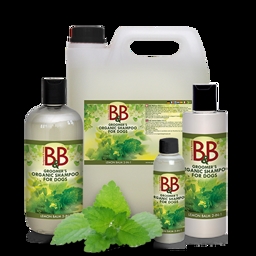 Hundschampo med melisse lemonbalm ekologisk