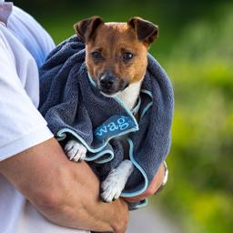 Håndklæde i microfiber til hunde Henry Way