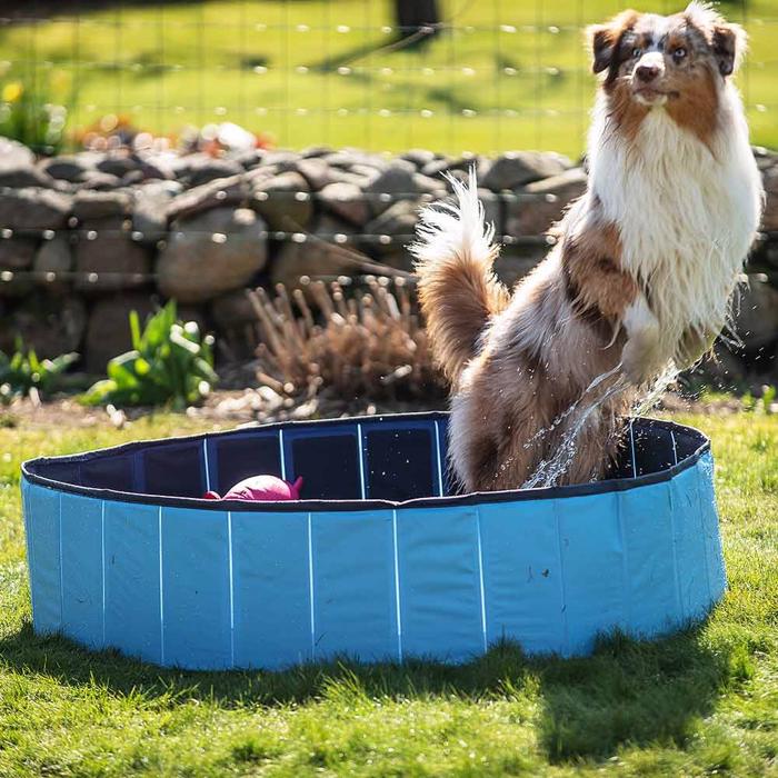 Hunde Pool til alle de varme dage