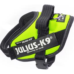 Julius K9 Dog IDC Selen Neon Green UV