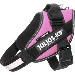 Julius K9 Dog IDC Selenium Pink