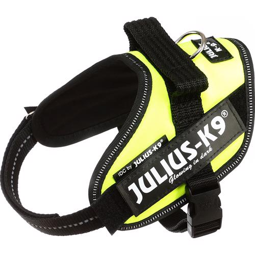 Julius K9 Dog IDC Selenium UV Neon