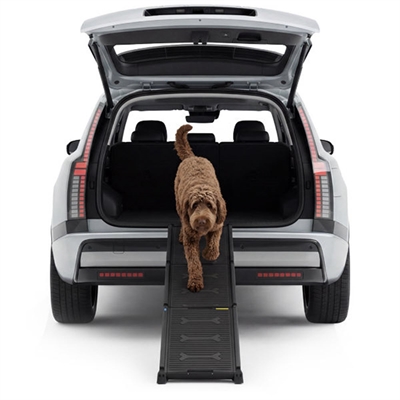 ProLine Easy Step DeLuxe Hundramp Till Bilen max 100 kg Hund