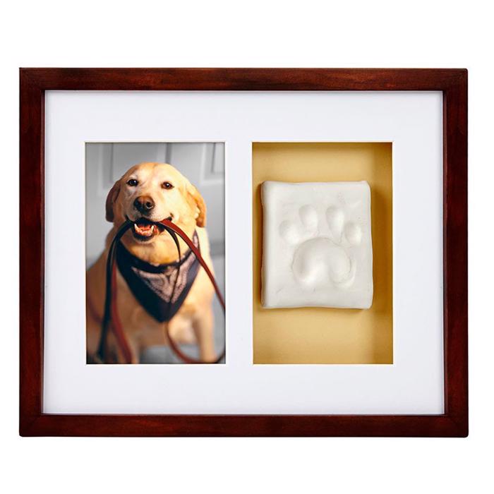 PawPrints Fotoram För Vägg Med Tassavtryck Espresso