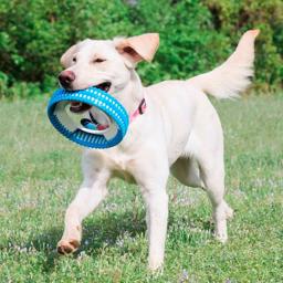Chuckit Fetchwheel rugged Rolig Hållbart Hjul för Hunden i Blå