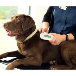 Sureflap SureSense Micro Chip Reader Universal