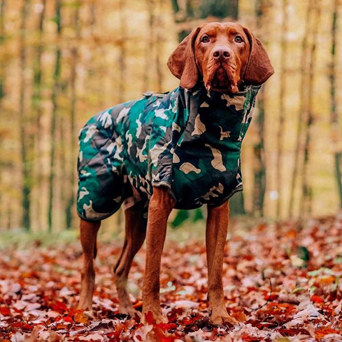 Spirit Siccato Hundekåben camouflage