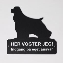 Här vaktar jag en skilsmässa med Am Cocker Spaniel