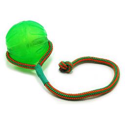 Starkmark Swing And Fling Chew Ball With Rep