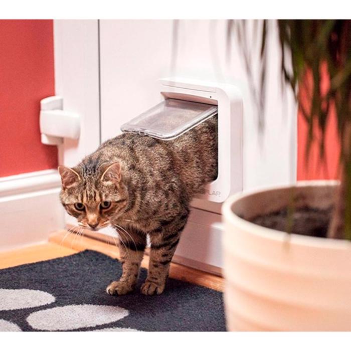 SureFlap Kattlucka Med Chipavläsare i Vit