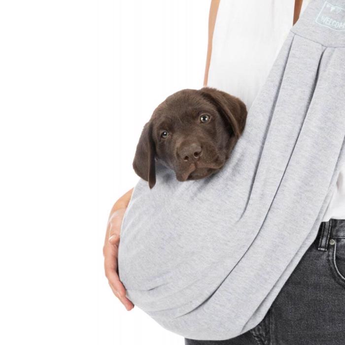Trixie Junior Bärväska för Valpen Eller Liten Hund Ljusgrå
