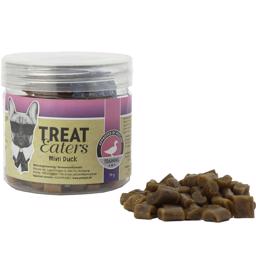 TreatEaters minigodis i praktisk liten burk 70 g AND