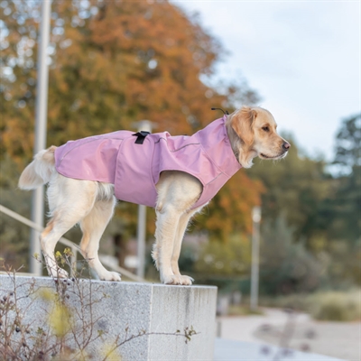 Trixie Hund Regnjacka Design Vimy Yellow