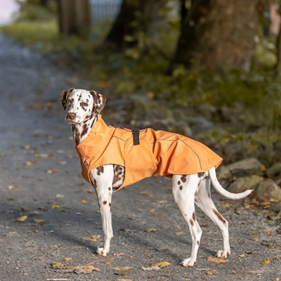 Trixie Hund Regnjacka Design Vimy Yellow