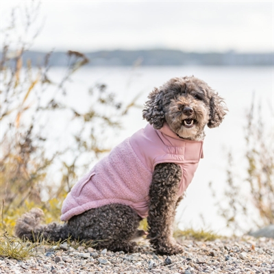 Trixie Vinterjacka För Små och Medelstora Hundar Design Ajou Grå Beige
