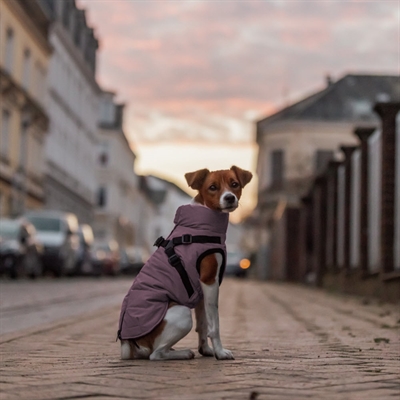Trixie Pontis Vinterjacka Med Sele, Vattentät & Helt Reflekterande Lilac