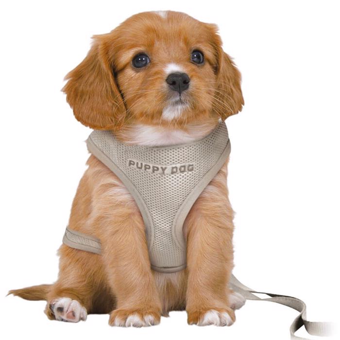 Trixie Valp Startset Med Sele & Koppel GREY Medium/Large