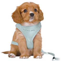 Trixie Puppies Starter Set Med Sele & Line MINT Medium/Large