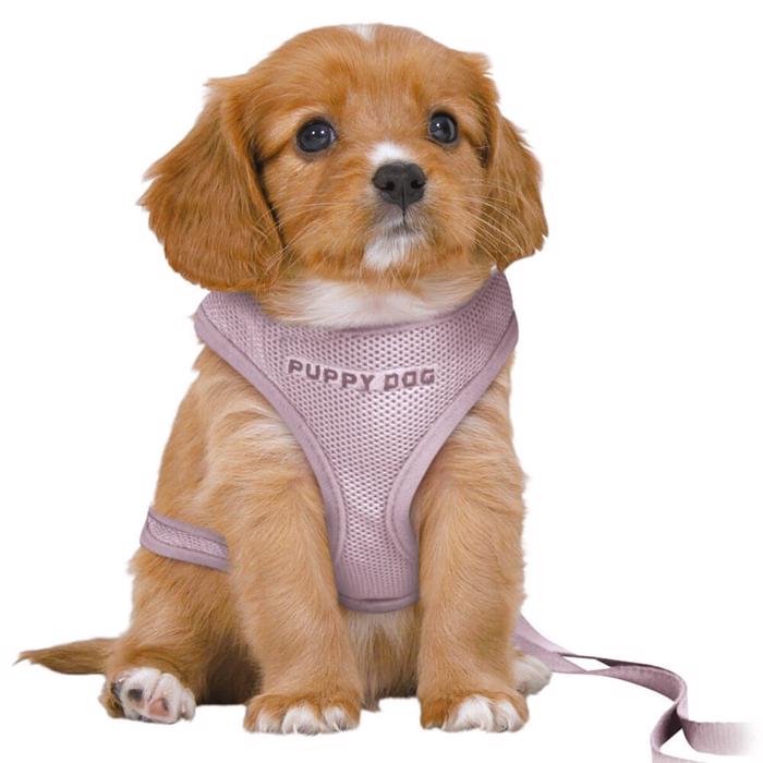 Trixie Puppies Starter Set Med Sele & Lina LILA Medium/Large